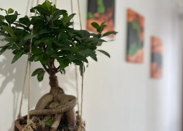 Appartamento Domus Auri Vatican Boutique Roma